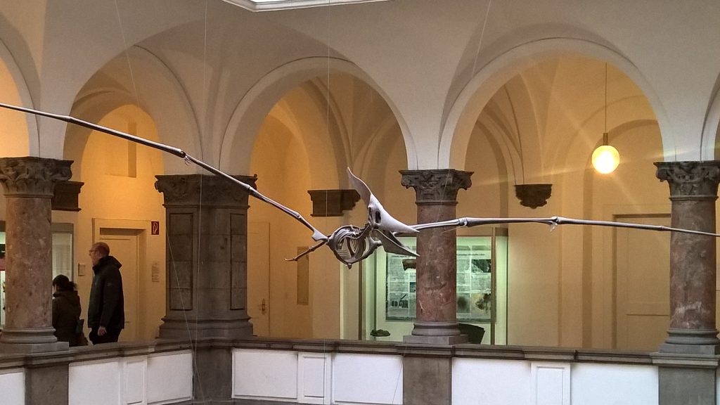 paleontological museum munich