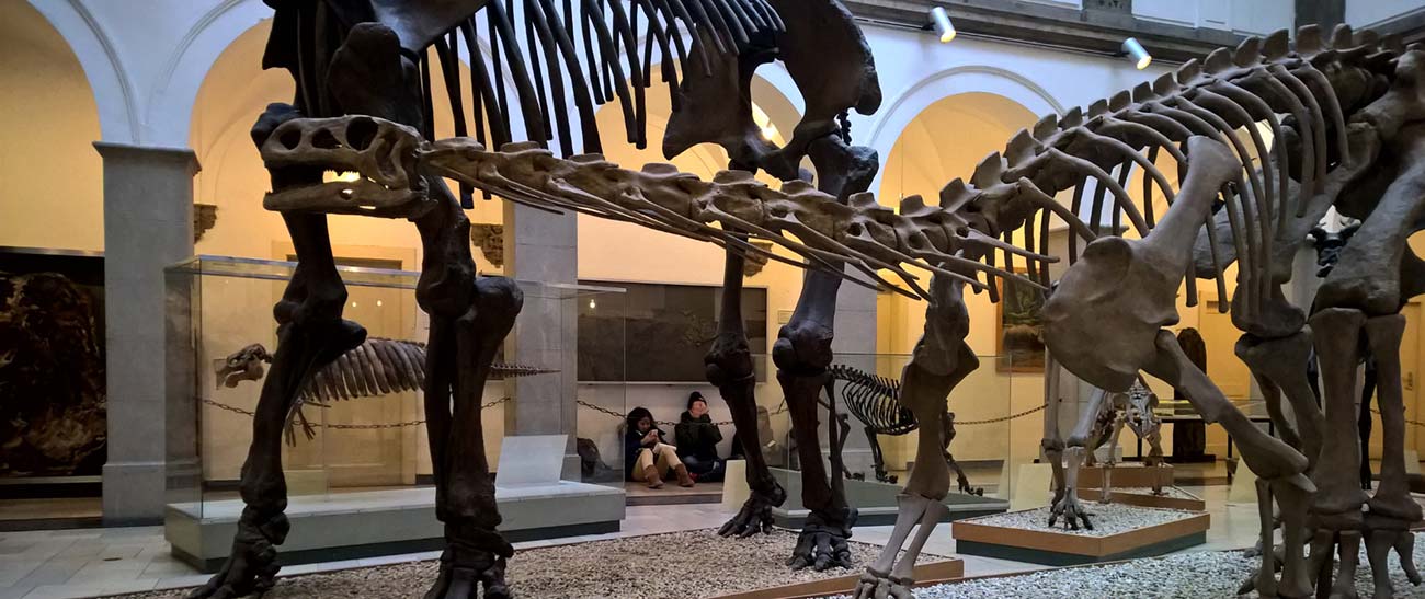 Dinosaur at Museums Workshop